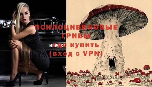ешки Армянск