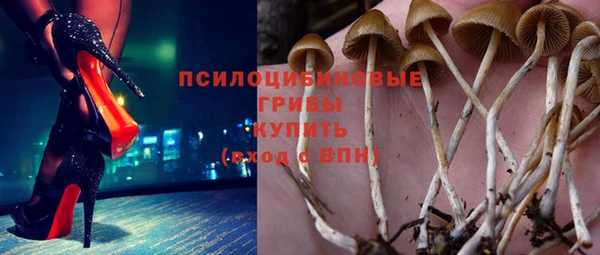 ешки Армянск