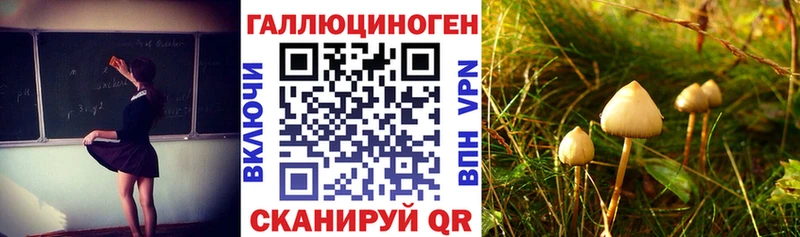 Псилоцибиновые грибы прущие грибы Оха